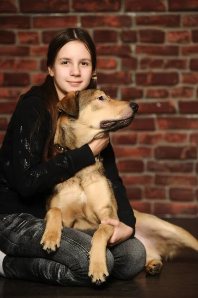 Девушка со счастливой собакой, на — стоковое фото