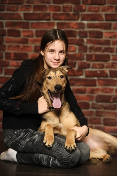 Girl with a happy dog, on a — Stock Photo, Image