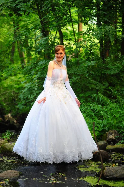 Novia en un vestido de novia blanco — Foto de Stock