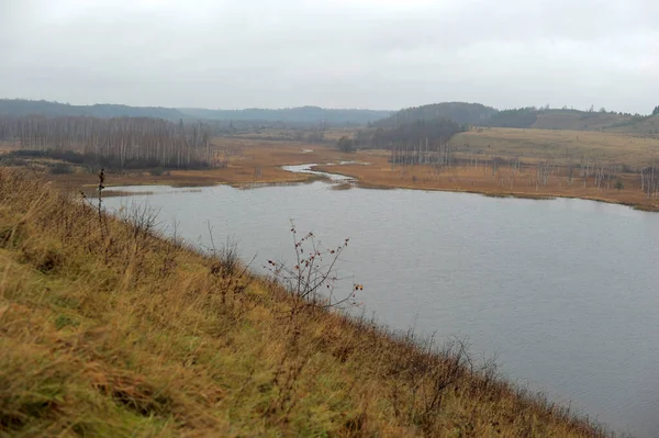 Landscape field and lake — 스톡 사진