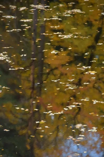 Lagoa no outono com folhas flutuando nele no outono — Fotografia de Stock