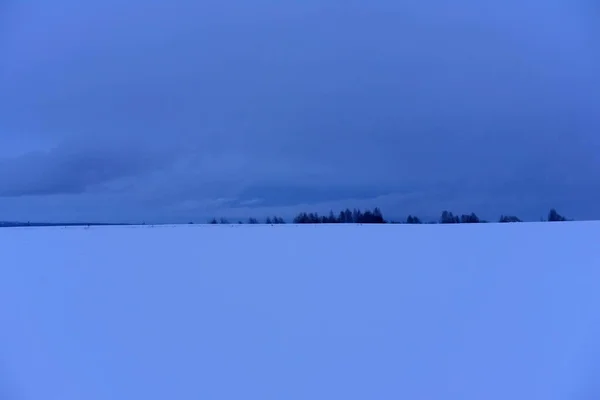 Extensão de campo coberta de neve com árvores — Fotografia de Stock