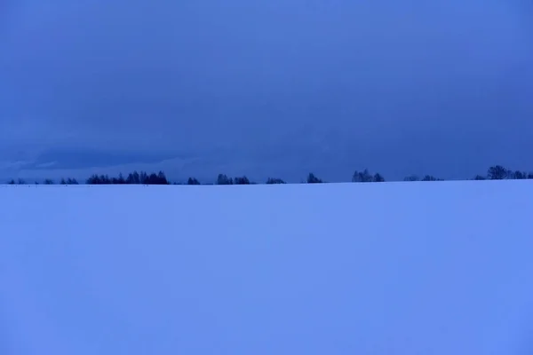 Zasněžená rozloha pole se stromy — Stock fotografie