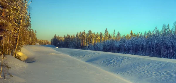 Besneeuwde uitgestrektheid en bomen — Stockfoto