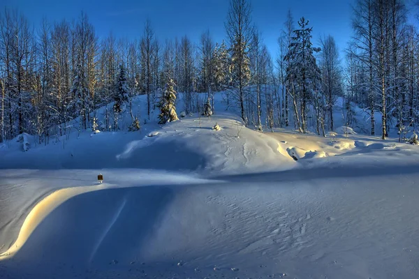 雪に覆われた広がりと木々 — ストック写真