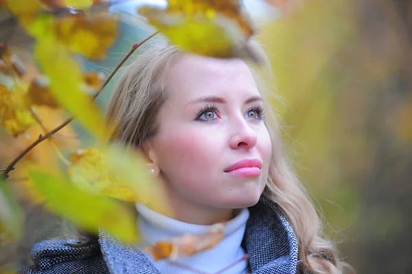 Dívka s podzimní listí — Stock fotografie