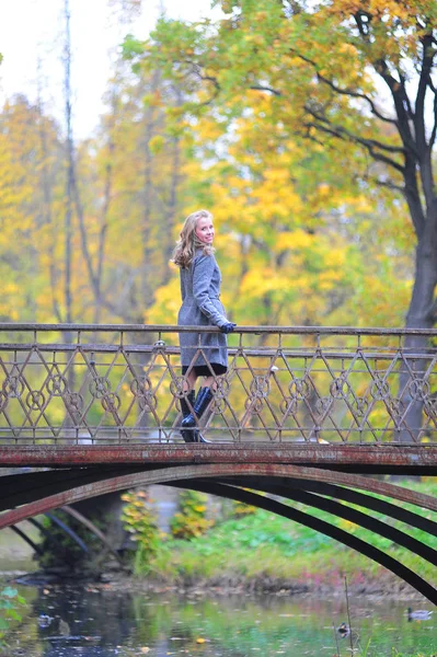 Meisje in een grijze jas in de herfst park — Stockfoto