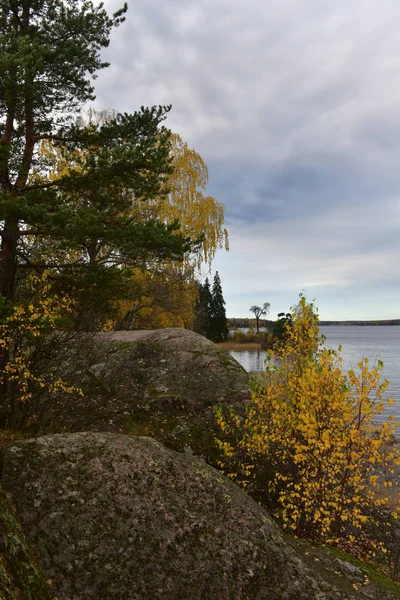 Mon Repos Parque Paisaje Rocoso Orilla Bahía Vyborg Bay Parte — Foto de Stock