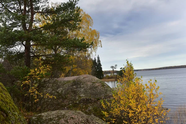 Mon Repos Parque Paisaje Rocoso Orilla Bahía Vyborg Bay Parte — Foto de Stock