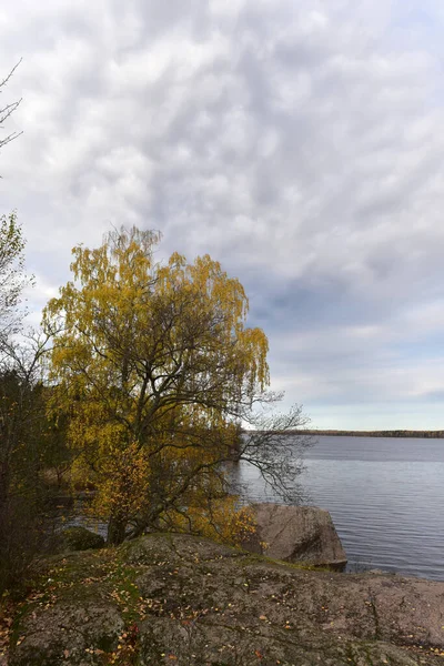 Mon Repos Skalisty Park Krajobrazowy Brzegu Zatoki Vyborg Północnej Części — Zdjęcie stockowe