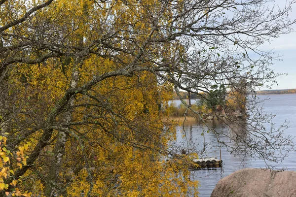 Mon Repos Skalisty Park Krajobrazowy Brzegu Zatoki Vyborg Północnej Części — Zdjęcie stockowe