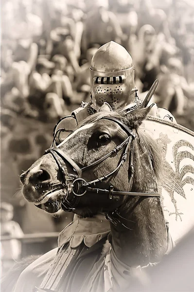 Росія Ізборськ 2013 Середньовічна Битва Конях Полі Середньовічному Фестивалі Залізне — стокове фото