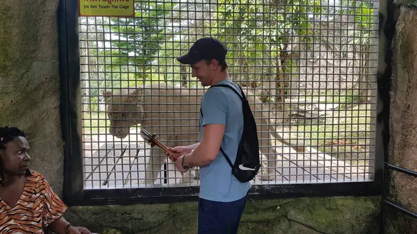 Tailândia Pattaya 2018 Visitantes Zoológico Alimentam Leões Gaiolas — Fotografia de Stock