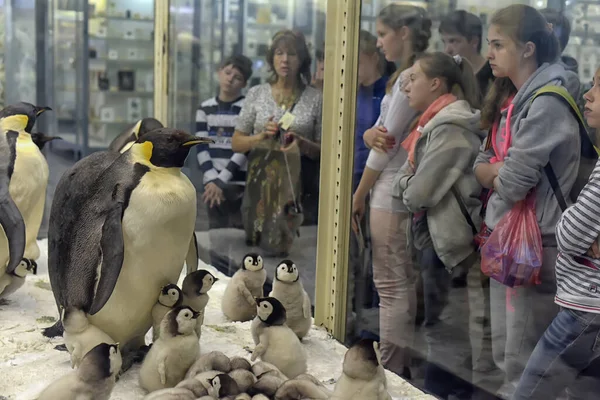 Rusia San Petersburgo 2020 Exposiciones Visitantes Del Museo Zoológico —  Fotos de Stock