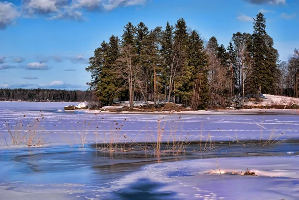 冬の雪の中の湖と海岸の木々は — ストック写真