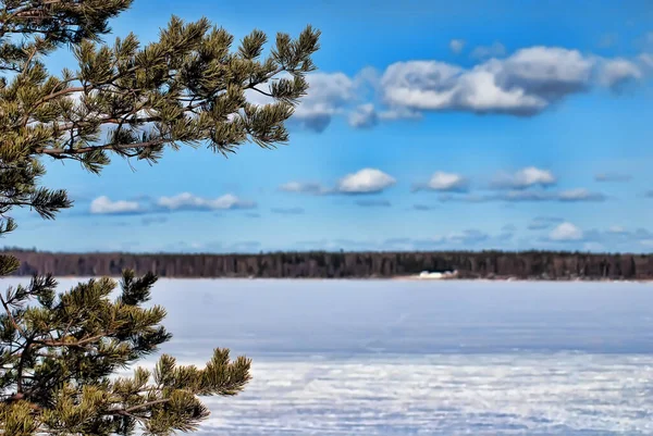 冬雪中的湖水和岸上的树木 — 图库照片