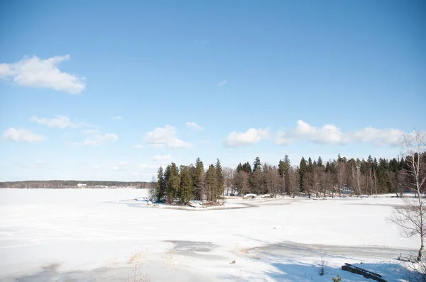 冬雪中的湖水和岸上的树木 — 图库照片