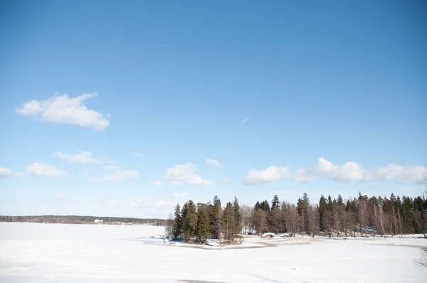 Lago Nieve Invierno Árboles Orilla — Foto de Stock