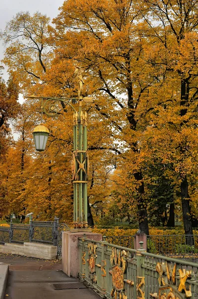 Promenade Automne Avec Des Arbres Jaunes — Photo