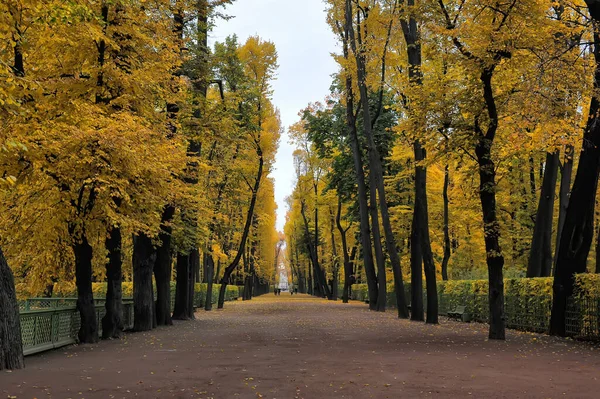 Herbstallee Stadtpark — Stockfoto