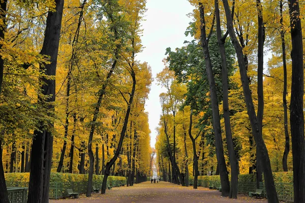 Herbstallee Stadtpark — Stockfoto