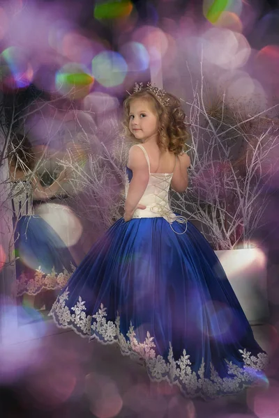 Молода Маленька Принцеса Блакитній Оксамитовій Сукні Вишивкою — стокове фото