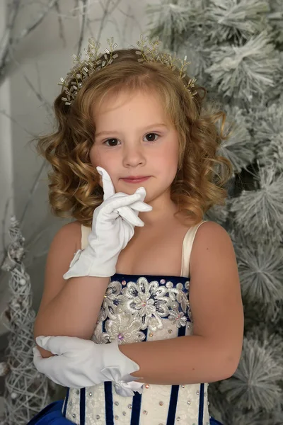 Молода Маленька Принцеса Блакитній Оксамитовій Сукні Вишивкою — стокове фото