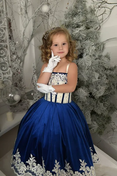 穿着蓝色天鹅绒裙 绣有绣花的小公主 — 图库照片