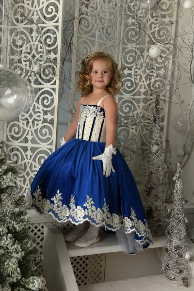 Chica Vestido Azul Inteligente Exuberante — Foto de Stock