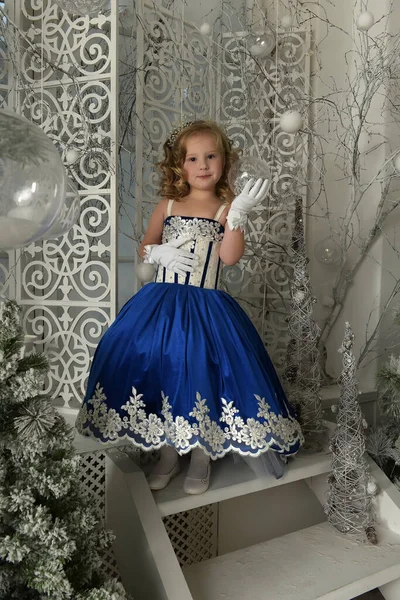 Young Little Princess Blue Velvet Dress Embroidery — Stock Photo, Image