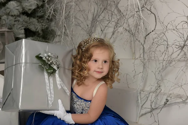 Mladá Malá Princezna Modrých Sametových Šatech Výšivkou — Stock fotografie
