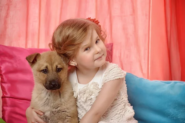 Little Girl Playing Puppy Home — Stock Photo, Image