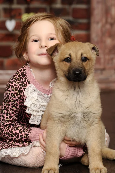 Little Girl Playing Puppy Home — Stock Photo, Image