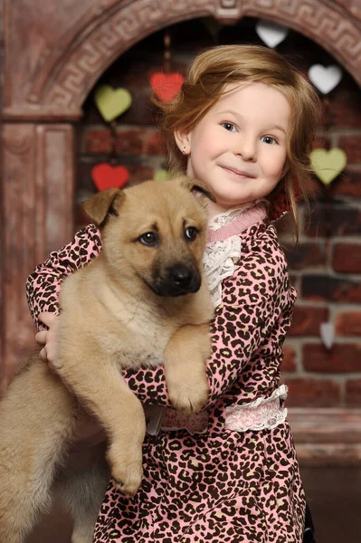 Little Girl Playing Puppy Home — Stock Photo, Image