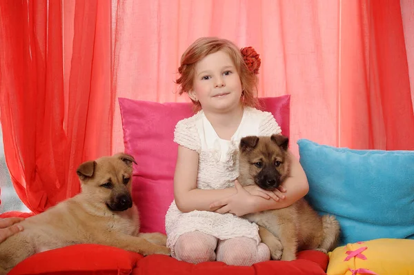 Little Girl Plays Two Puppies Home — Stock Photo, Image