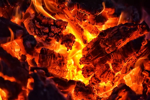 Lagerfeuer Nahaufnahme Von Feuer Und Feuer Holz — Stockfoto