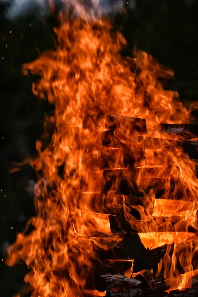 Bonfire Close Close Fire Fire Wood — Stock Photo, Image