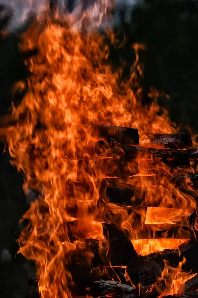 Ateşe Yakın Şenlik Ateşi Odun Ateşi — Stok fotoğraf