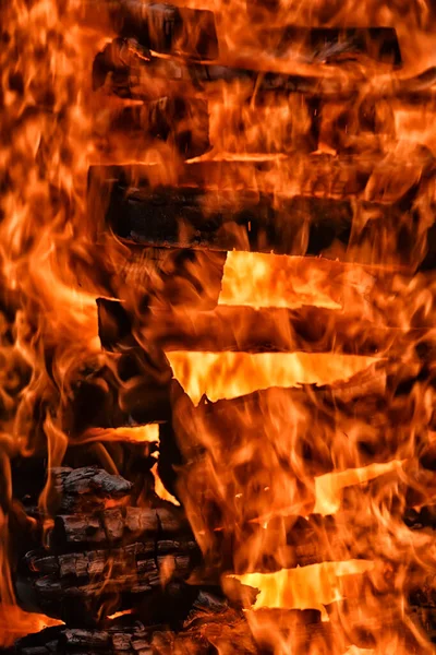 Bonfire Close Close Fire Fire Wood — Stock Photo, Image