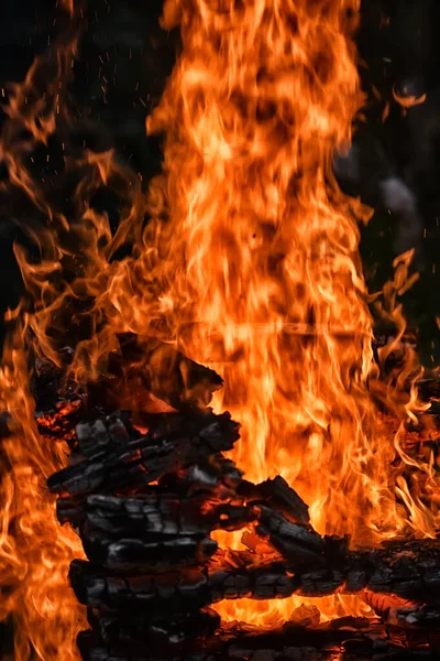 Bål Nærheten Brann Brann Tre – stockfoto