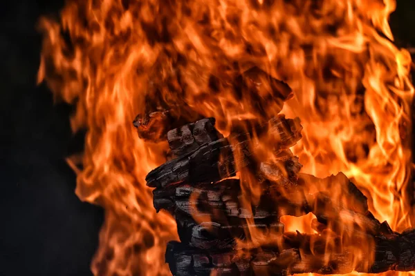 Fogata Primer Plano Fuego Fuego Madera — Foto de Stock