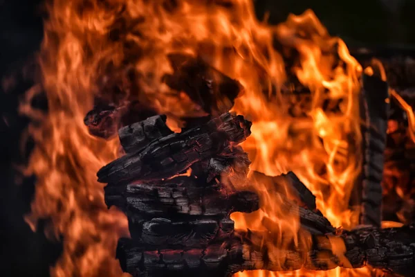 Bonfire Close Close Fire Fire Wood — Stock Photo, Image