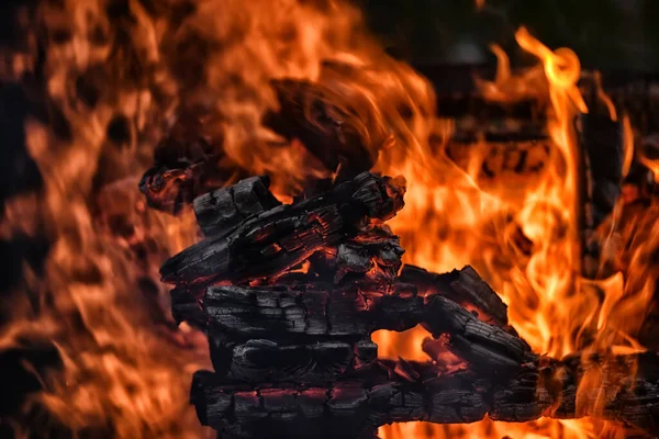 Bonfire Close Close Fire Fire Wood — Stock Photo, Image