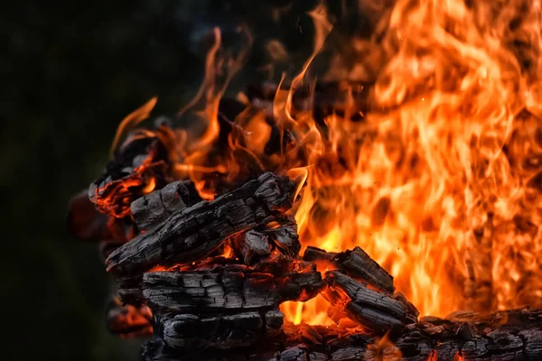 Feu Joie Gros Plan Feu Feu Dans Bois — Photo