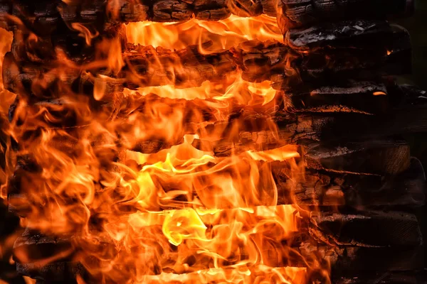 Lagerfeuer Nahaufnahme Von Feuer Und Feuer Holz — Stockfoto