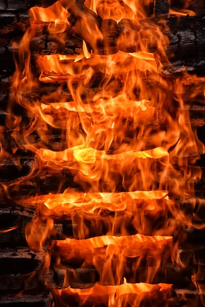 Fogata Primer Plano Fuego Fuego Madera —  Fotos de Stock