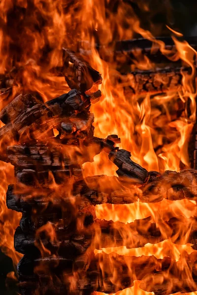 Bonfire Close Close Fire Fire Wood — Stock Photo, Image