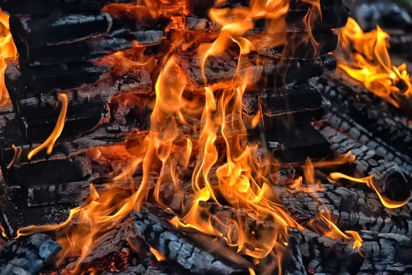 Bonfire Close Ohně Ohně Dřevě — Stock fotografie