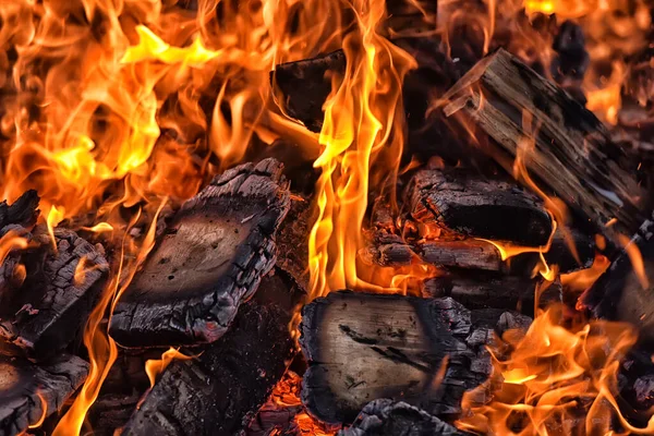 Bonfire Sparks Forest Night — Stock Photo, Image