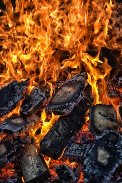 Bonfire Sparks Forest Night — Stock Photo, Image